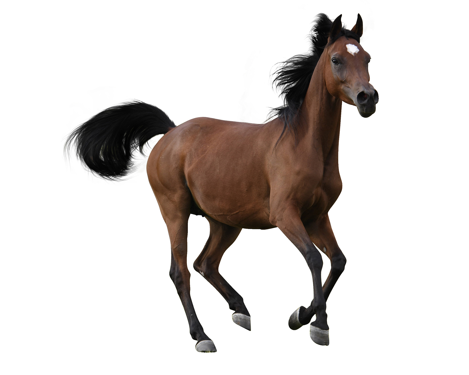 Image Masking Service